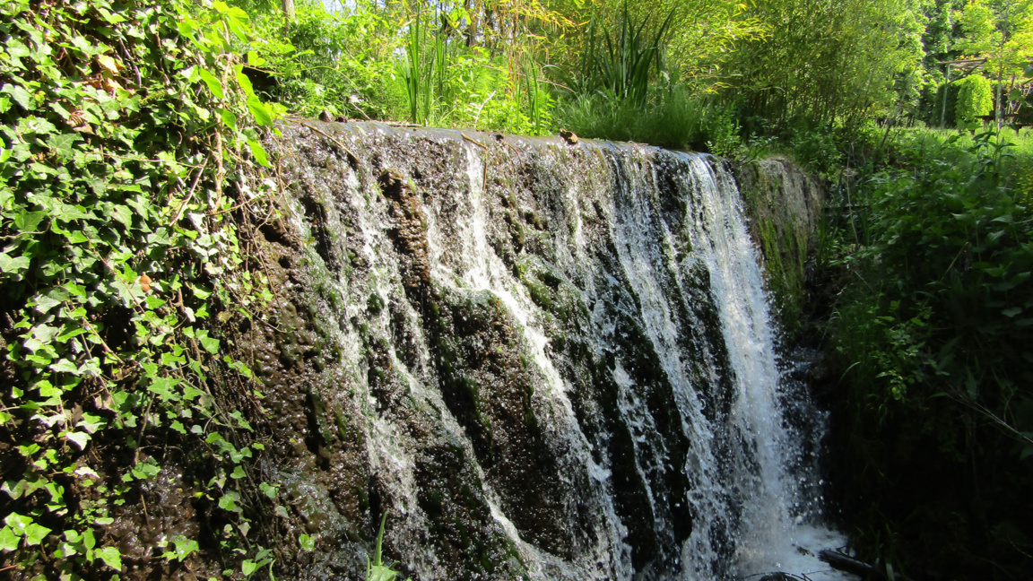 Университетска ботаническа градина - Варна