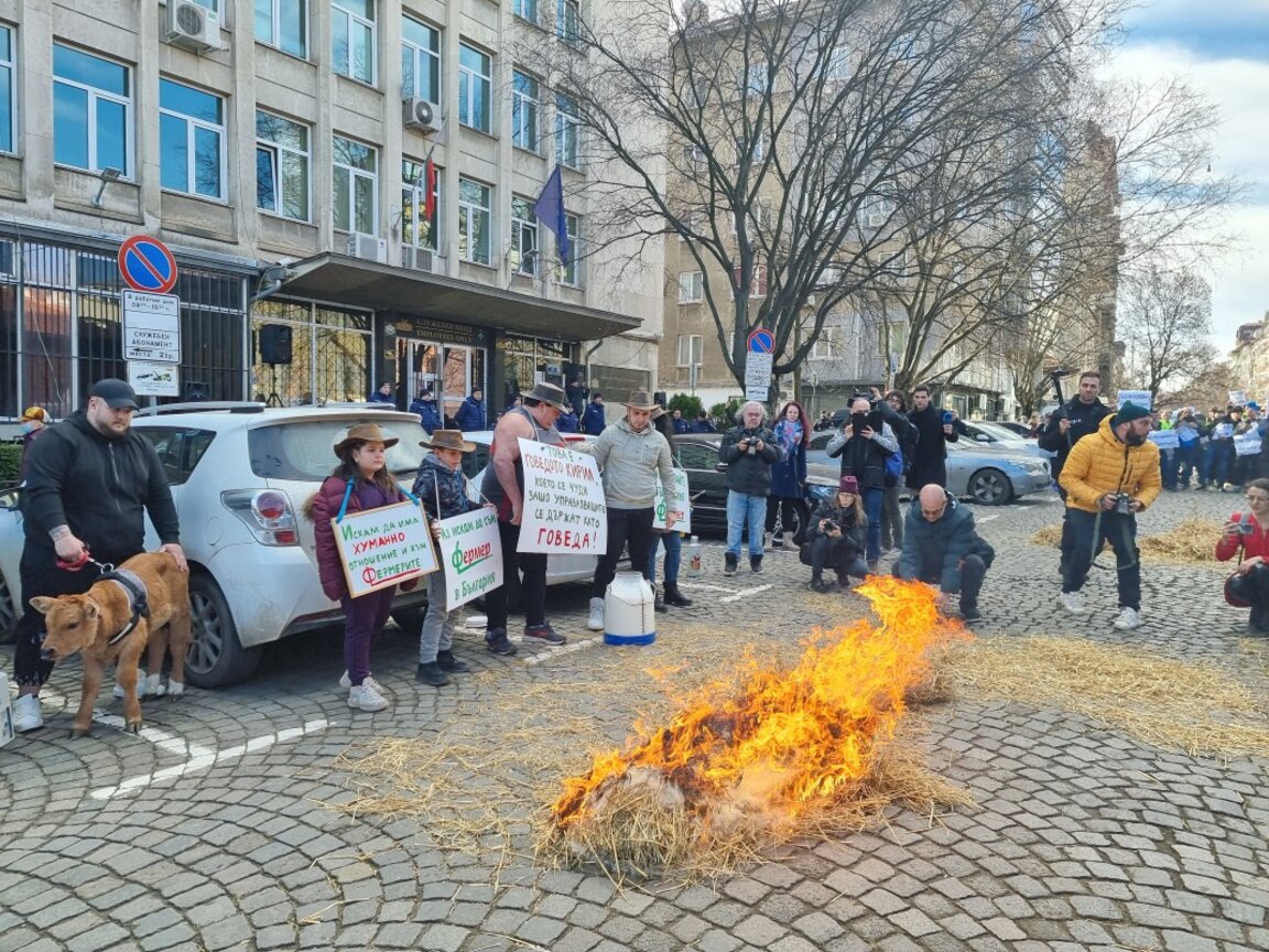 Landwirte verweigern Dialog mit Landwirtschaftsminister