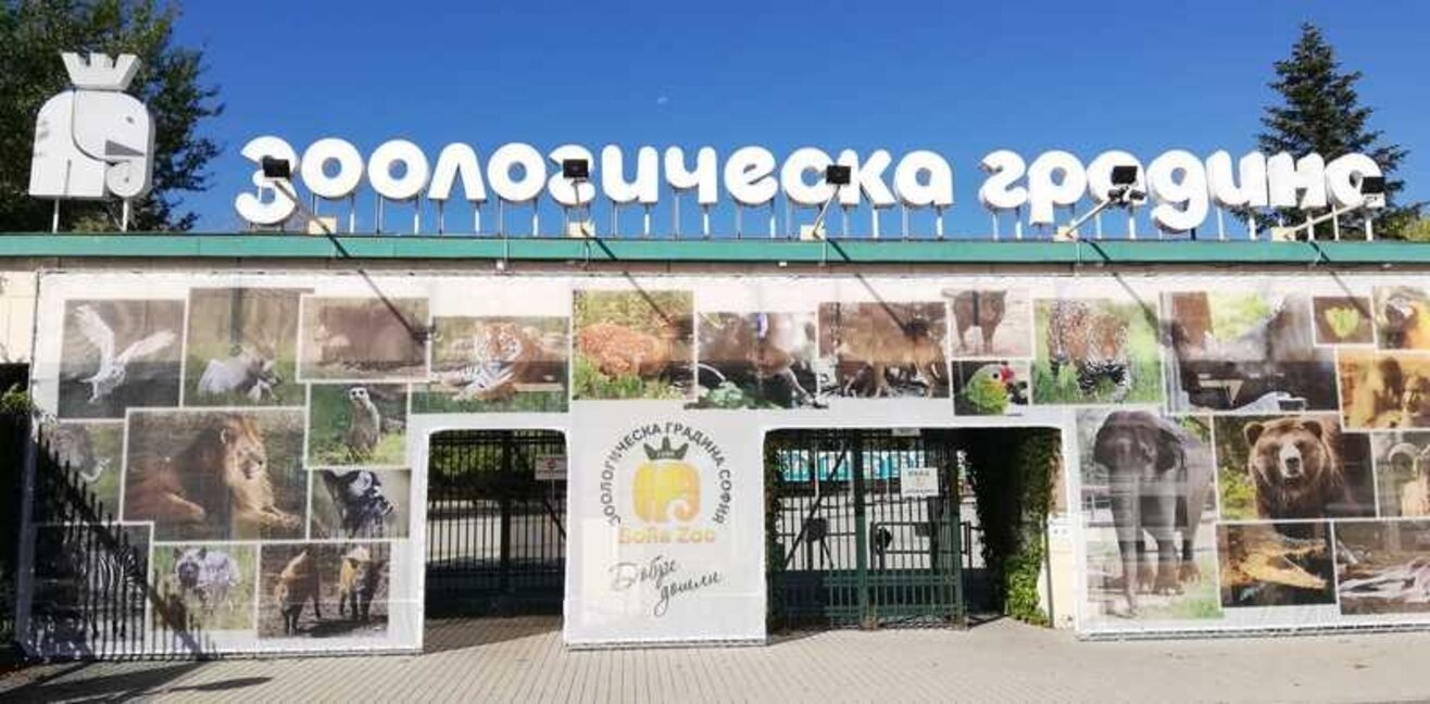 Софийският зоопарк предупреждава за измама чрез името на институцията