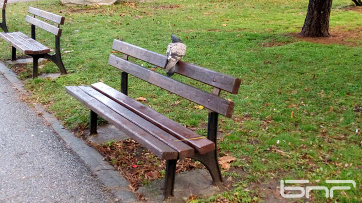 Warm winter day with sunshine and highs up to 18°C