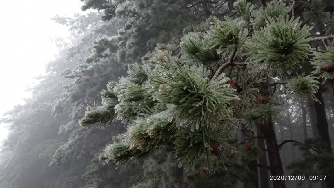 Parashikimi i motit për fundjavën