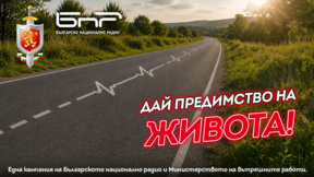 Пътят не е за надпревара