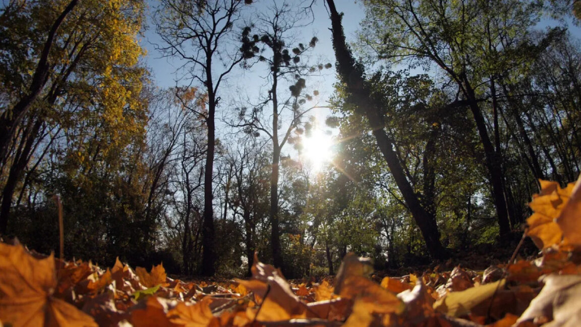 Weather forecast: Daytime highs expected to increase by 1°C-2°C