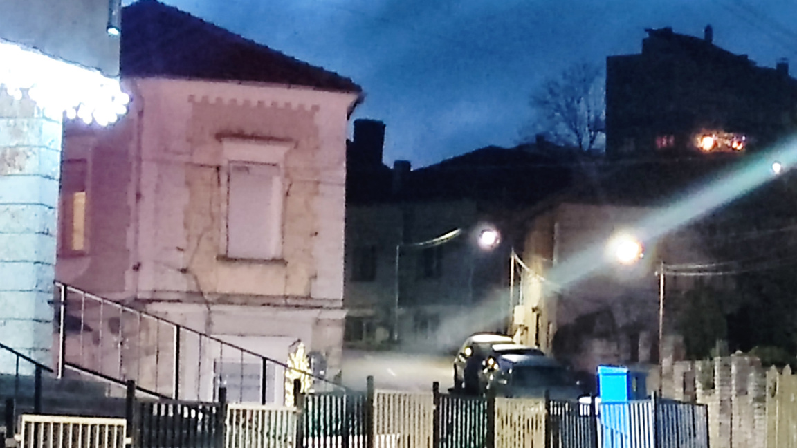 Застреляха бездомно куче в Балчик