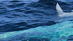 ВМС отстраниха нови дронове и части от тях от морето край Варна и Бургас