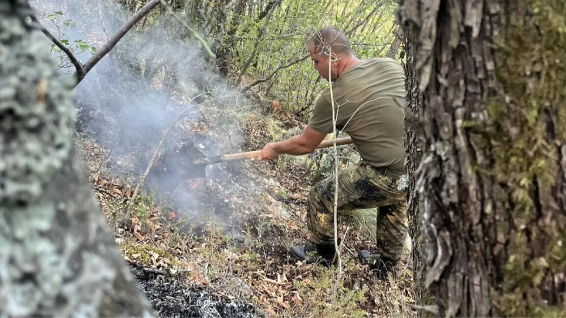 Продължава гасенето на огнища и тлеещи дървета на пожара в Рила