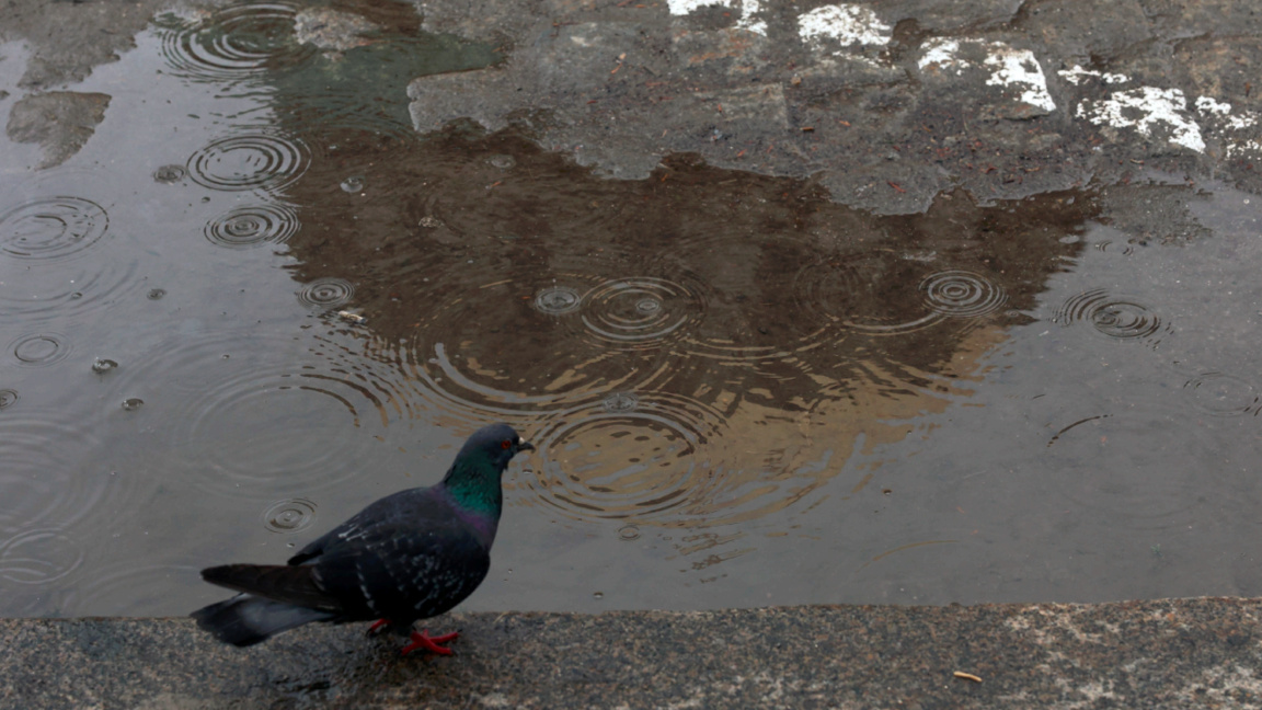 Météo: Le printemps arrive, mais les températures restent fraîches