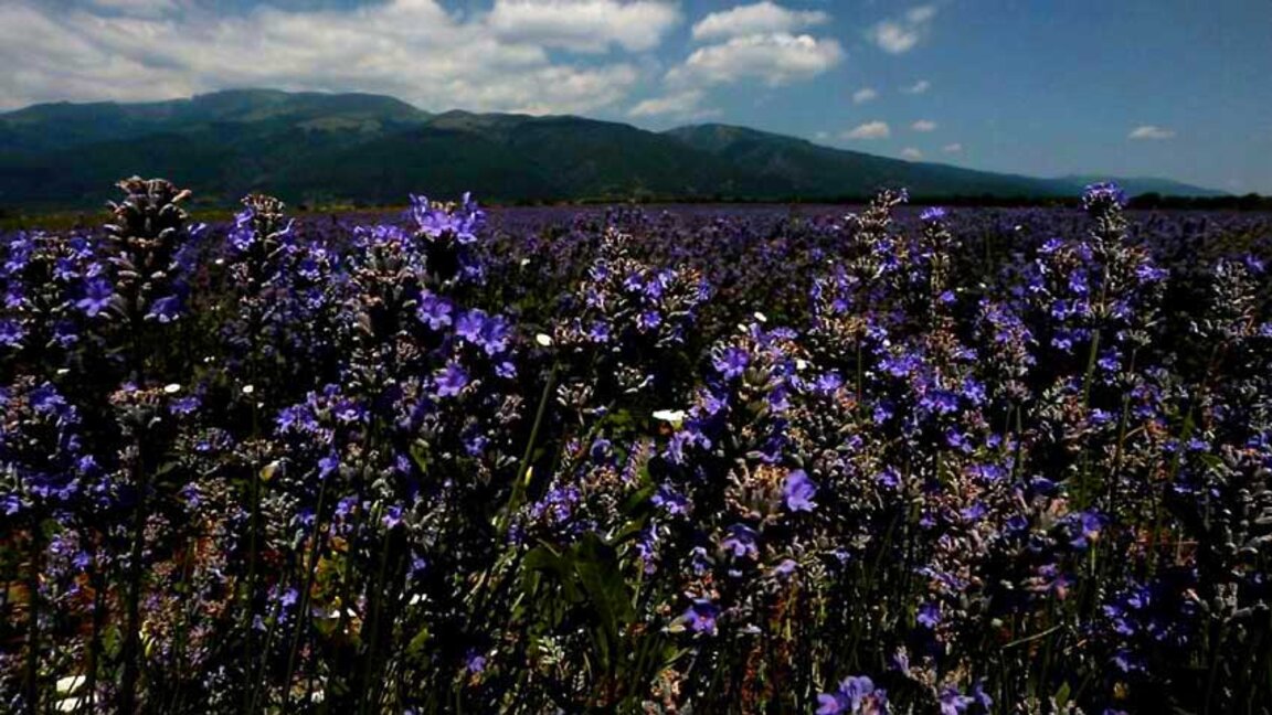 Πρόγνωση του καιρού για τις 22.07.2024