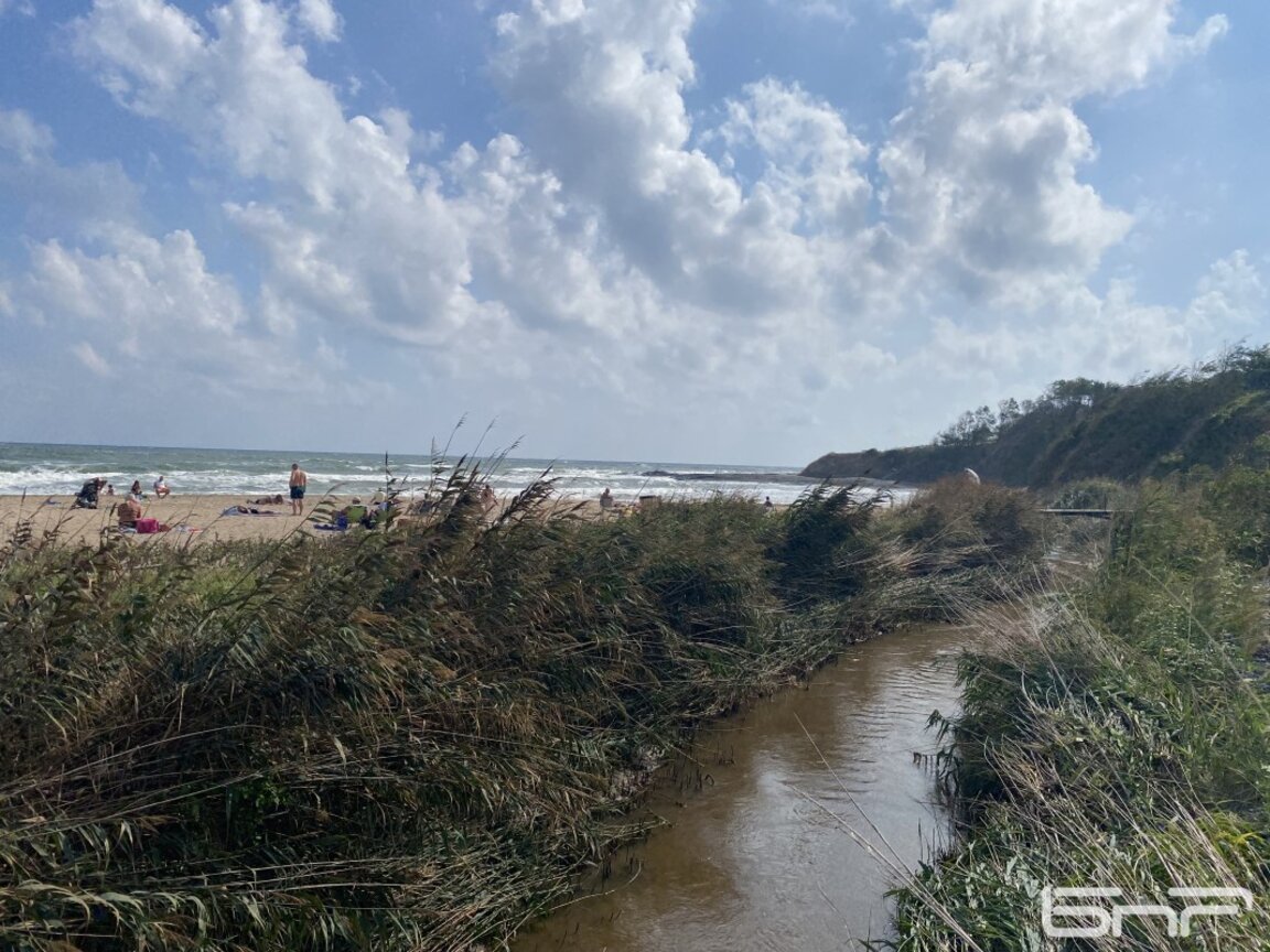 "Булевард Демокрация" - на 7 септември