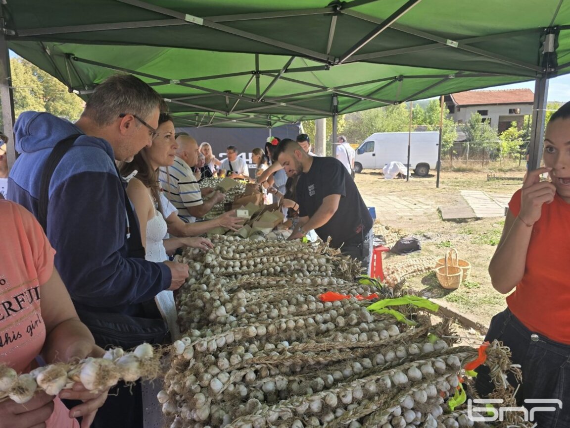 Чесънът  събра производители и любители в с. Долни Раковец