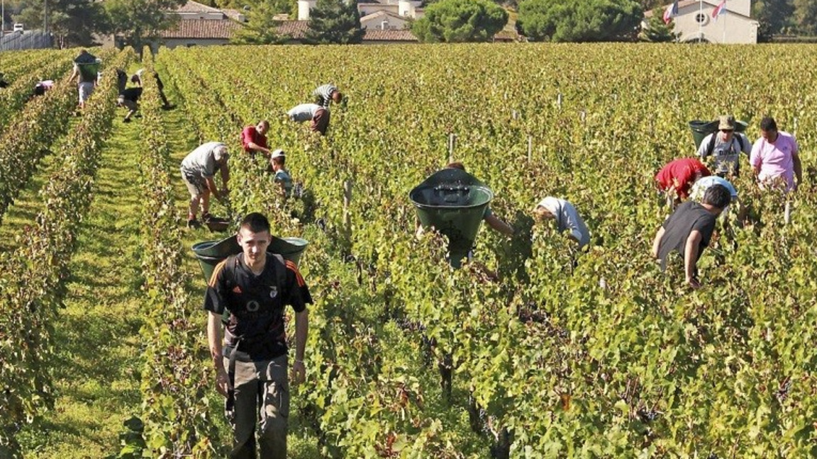 Propozohet regjistrim i përshpejtuar për punëtorët sezonalë të huaj