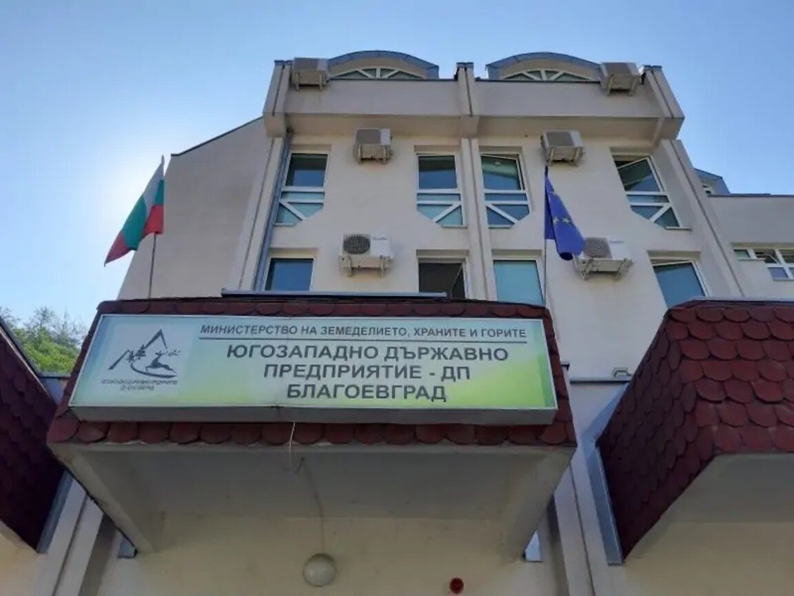 ЮЗДП е на гребена на вълната като иновативност във възстановяване на увредени гори