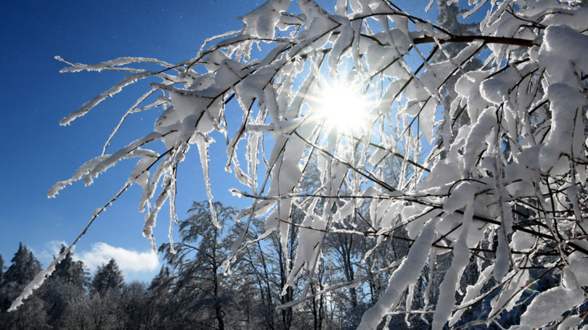 Météo : Douceur printanière fin décembre…