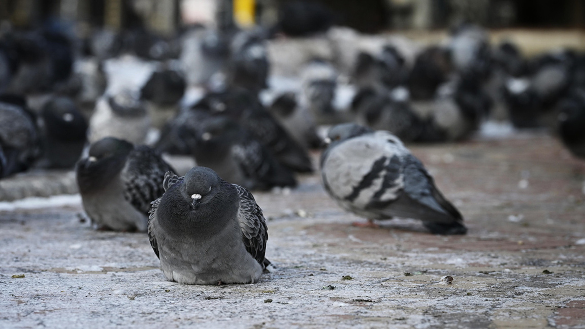 прогноза за времето зима студено време
