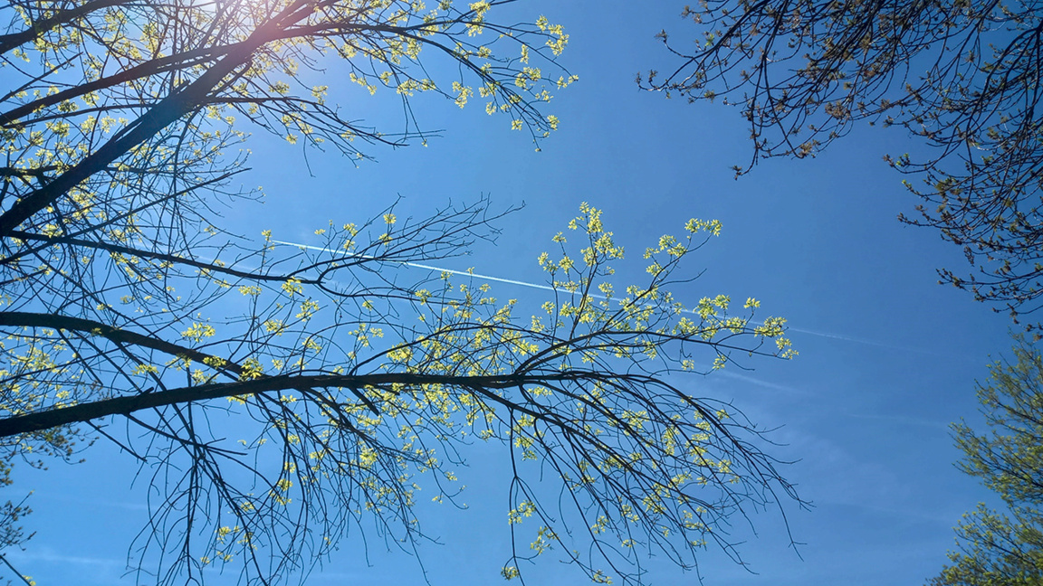 Météo: Températures fraîches le matin et printanières l'après-midi