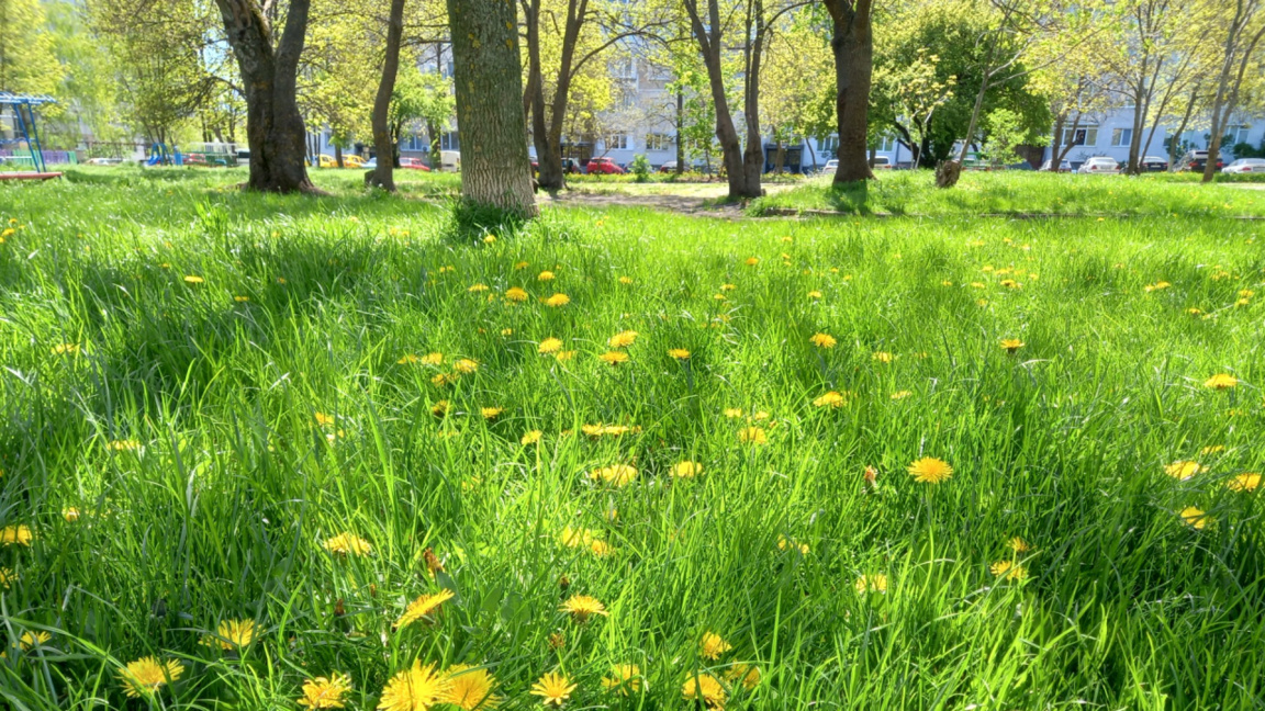 Pe 1 mai cerul va fi parțial înnorat, cu precipitații izolate în zonele montane