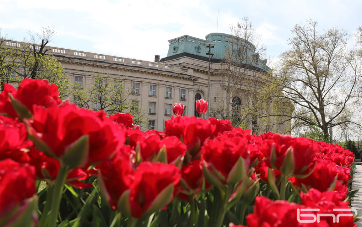 МС вдигна минималната заплата в държавните университети