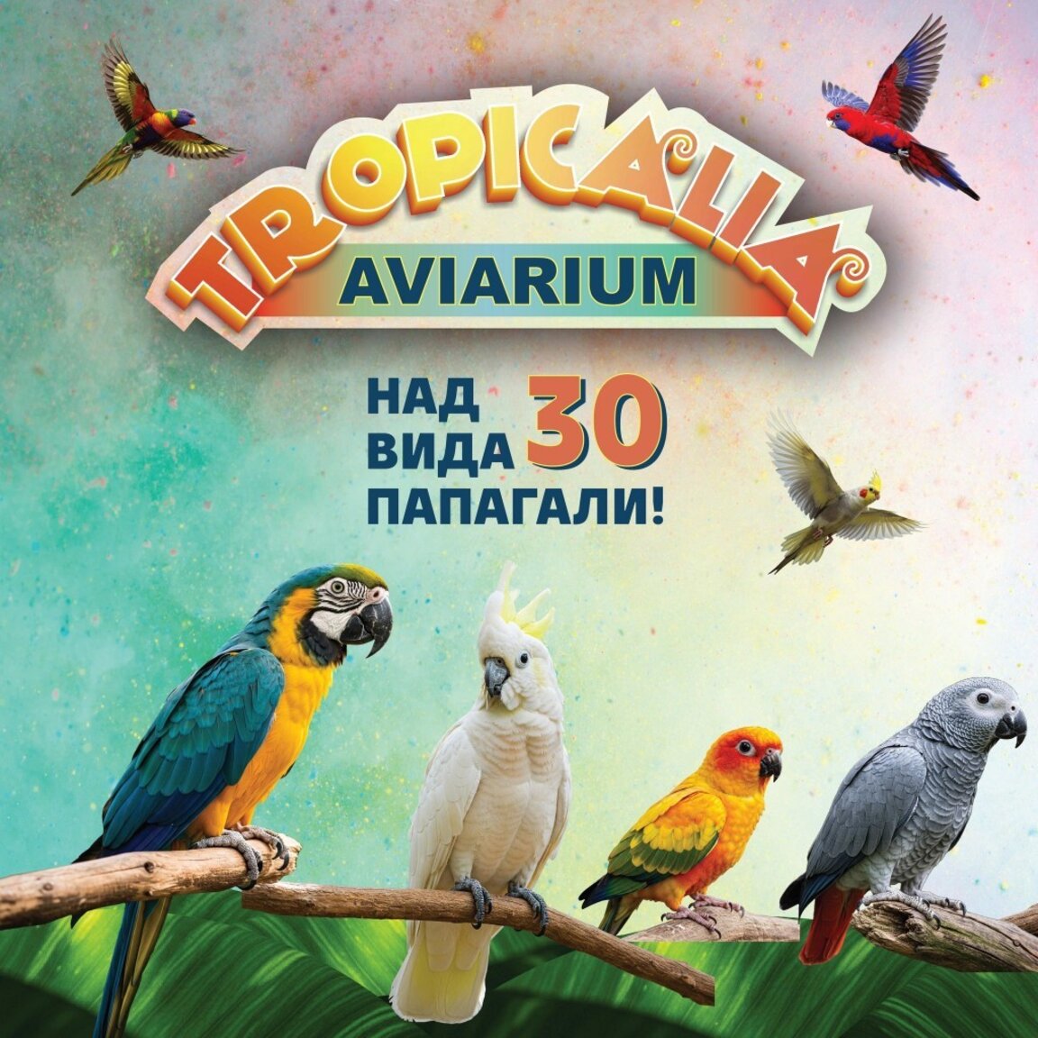 AVIARIUM отваря врати в Бургас