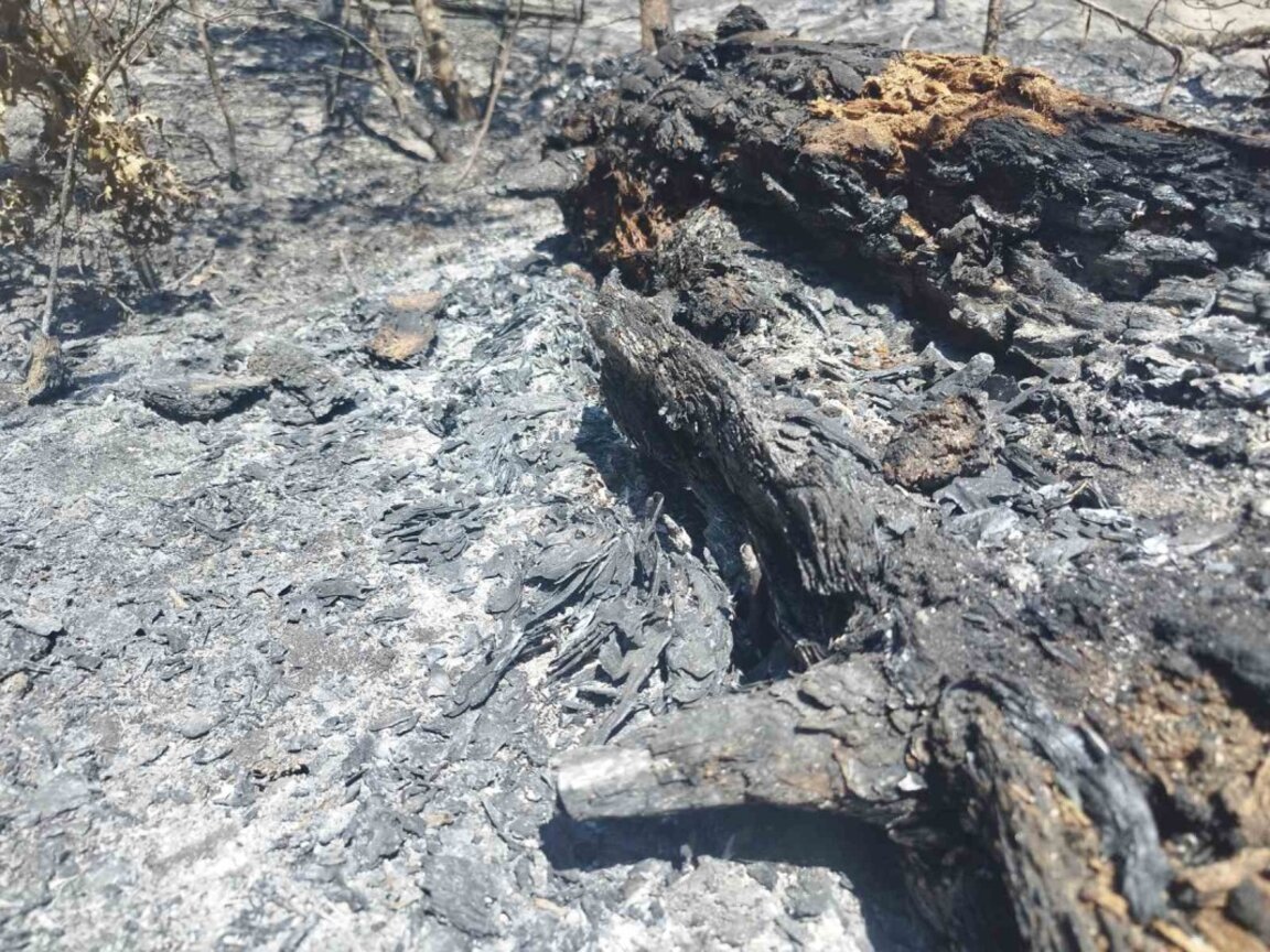 Овладян е пожарът, който пламна край ямболското село Асеново