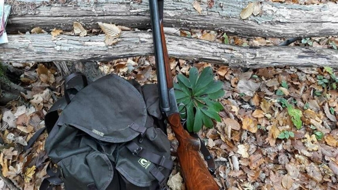 Лов във Видинско