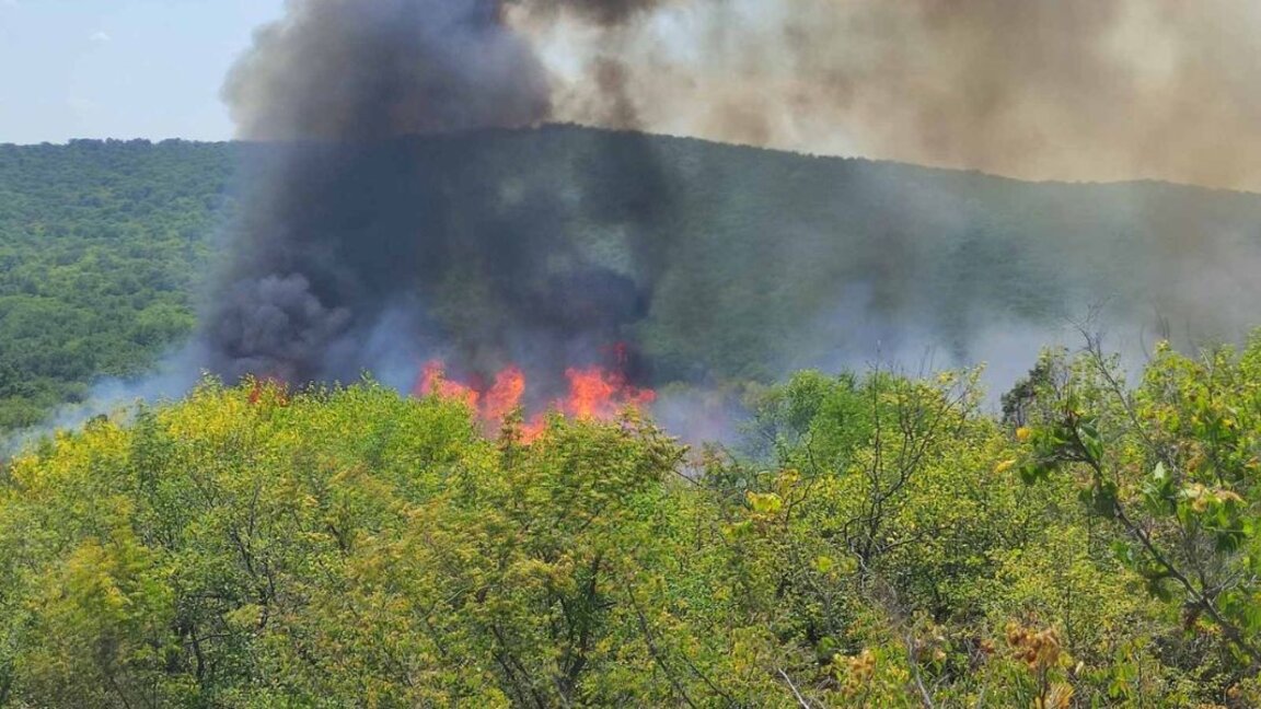 Avioane spaniole ajută la stingerea incendiului de la granița cu Grecia