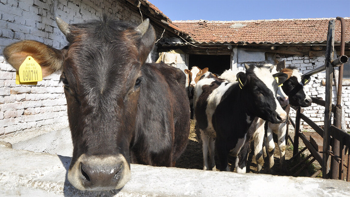 Земеделците заплашиха с протест, искат оставката на ресорния министър