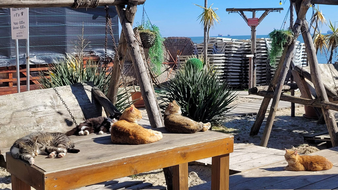 Централен плаж Варна