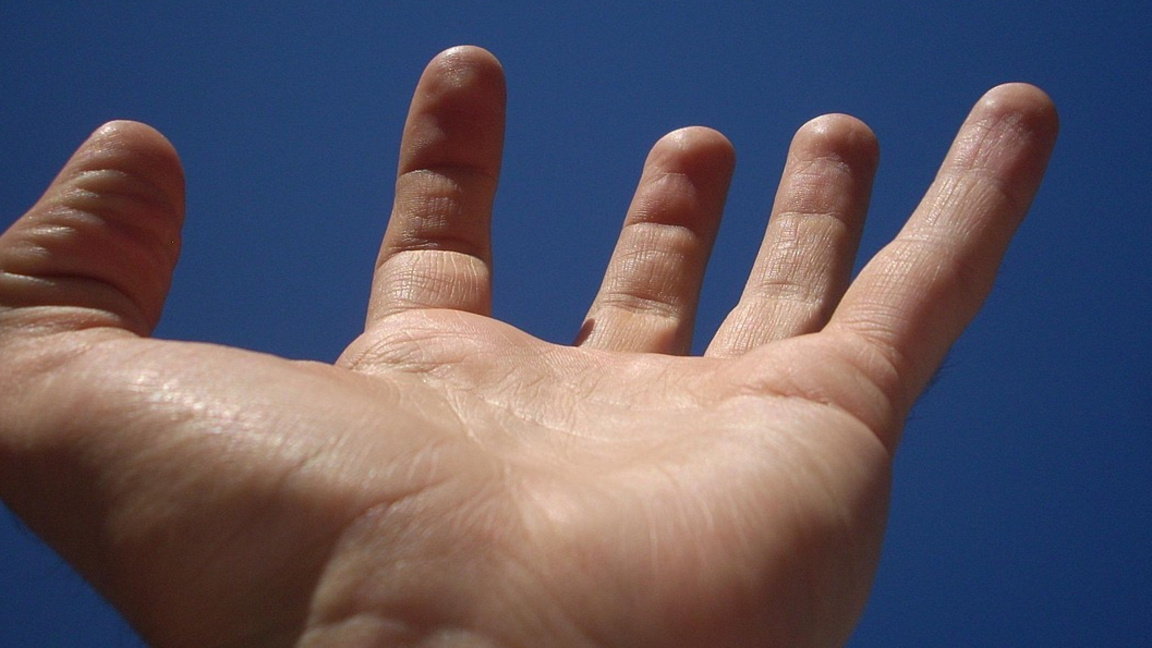 Колко е дълга "флорентинската ръка"