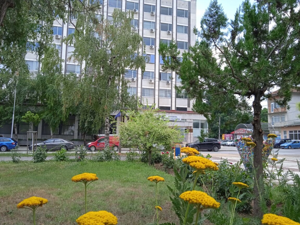 Разпра и побой в белослатинско училище