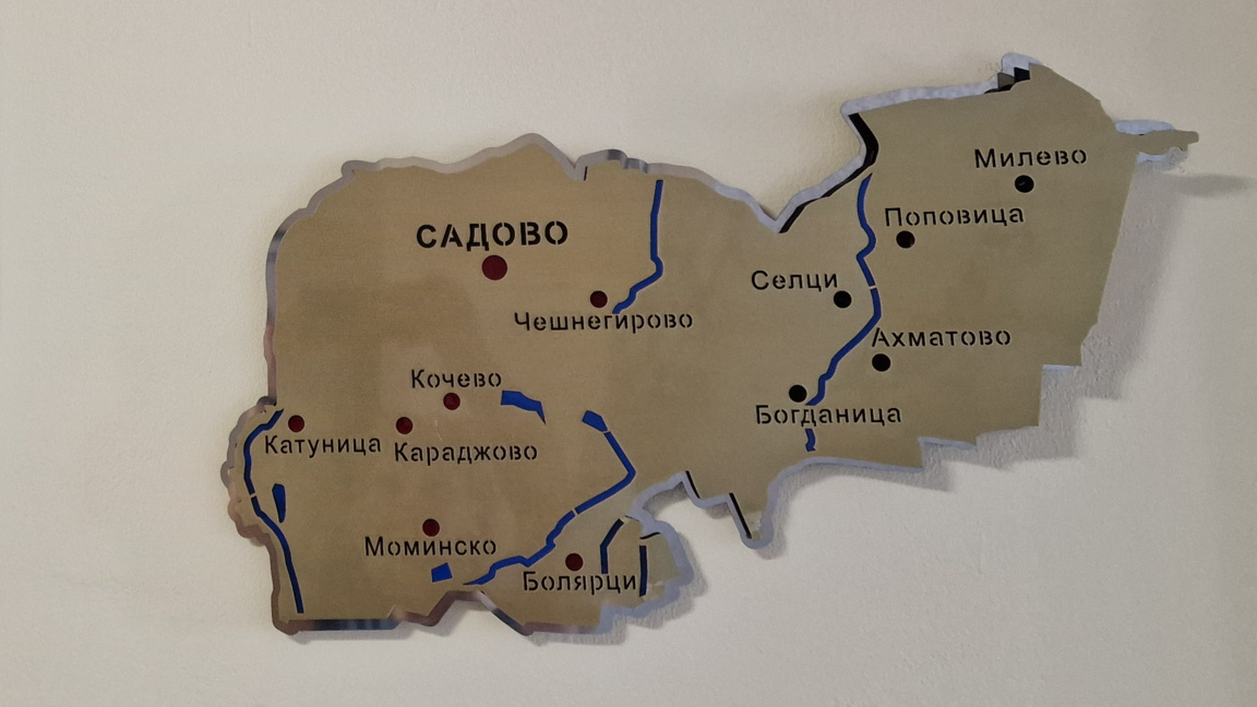 Освободиха зам.-председател на СИК в Садово заради обиди на расова основа