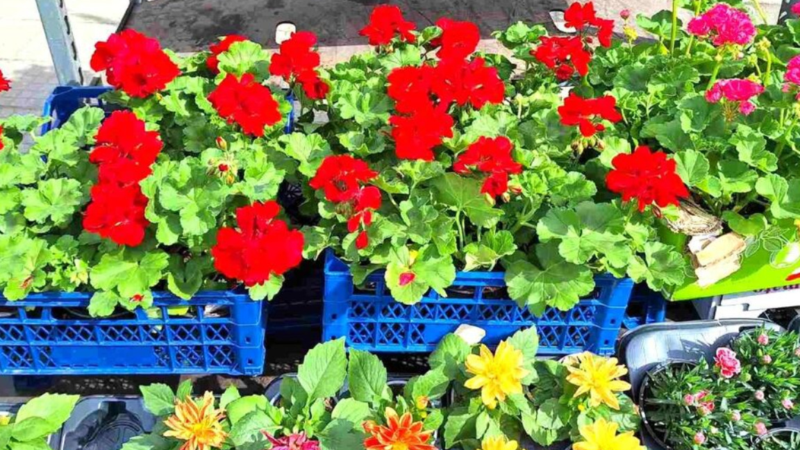 „Сюжети от деня“ с Агнес Манова