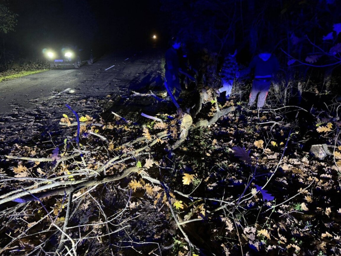 Вятър събори дърво и временно затвори пътя Ясна поляна-Ново Паничарево