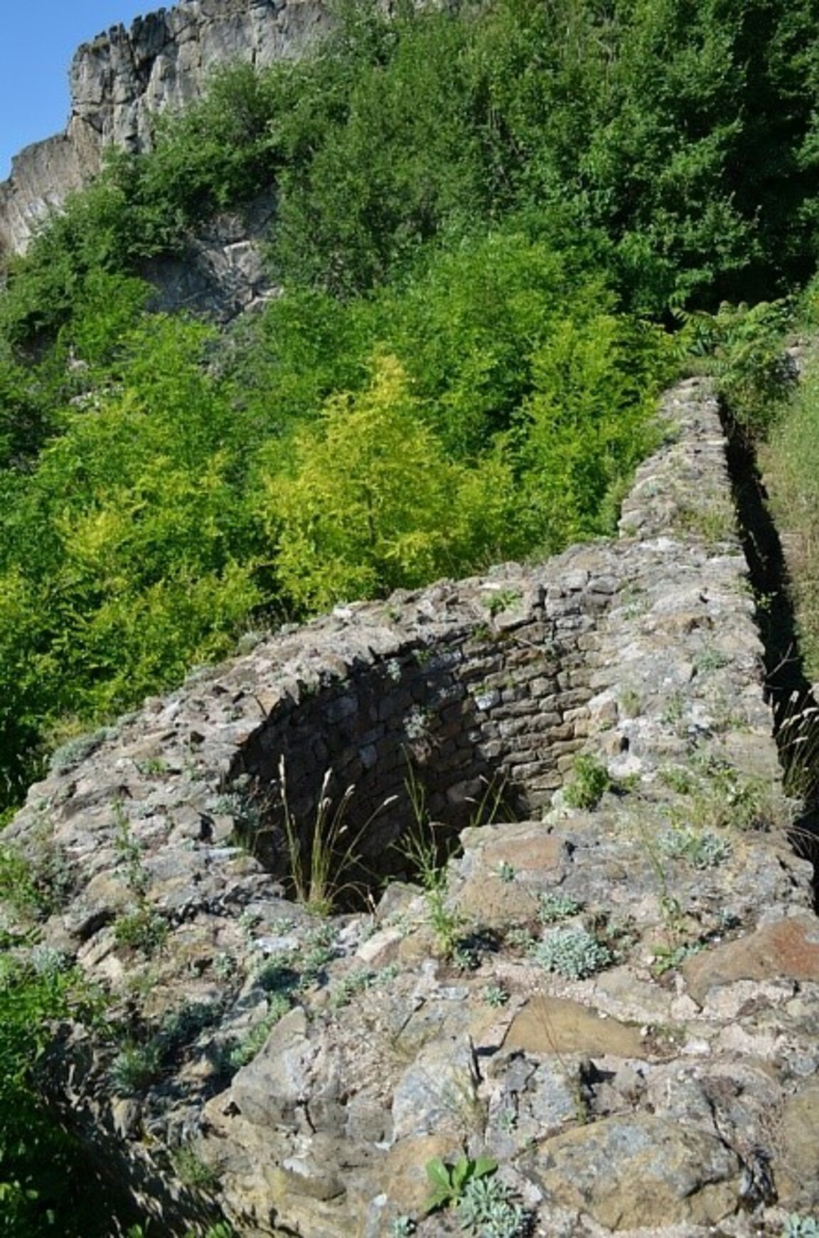 Доброволци ще почистят раннохристиянската базилика край Лютиброд