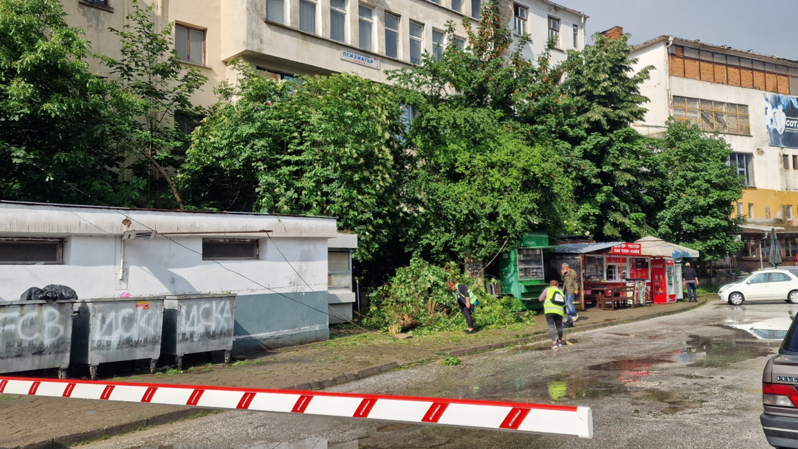 Мълния повали дърво при автогарата в Устово
