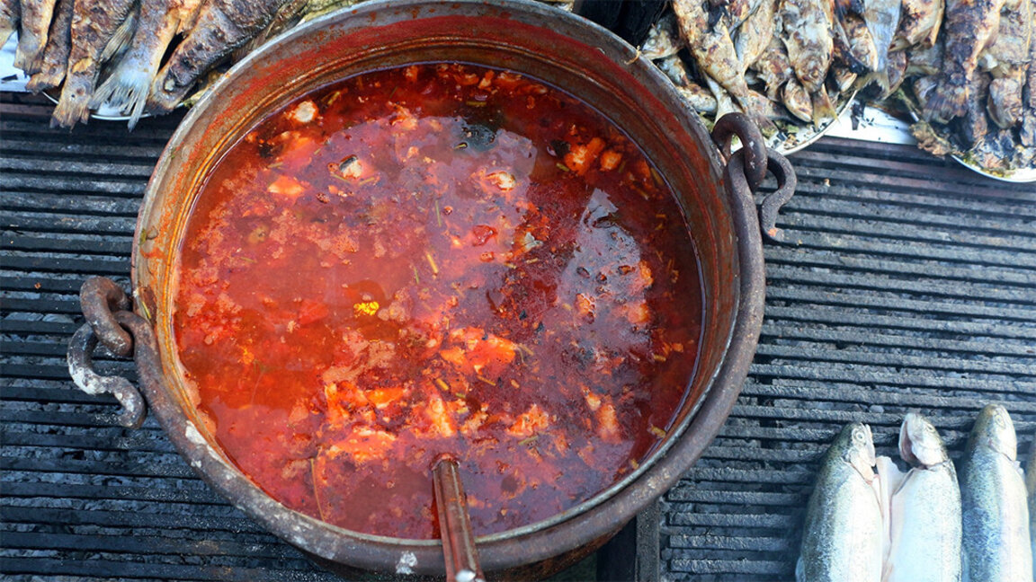 „Die leckerste Fischsuppe“ und Wein auf Festival in Burgas