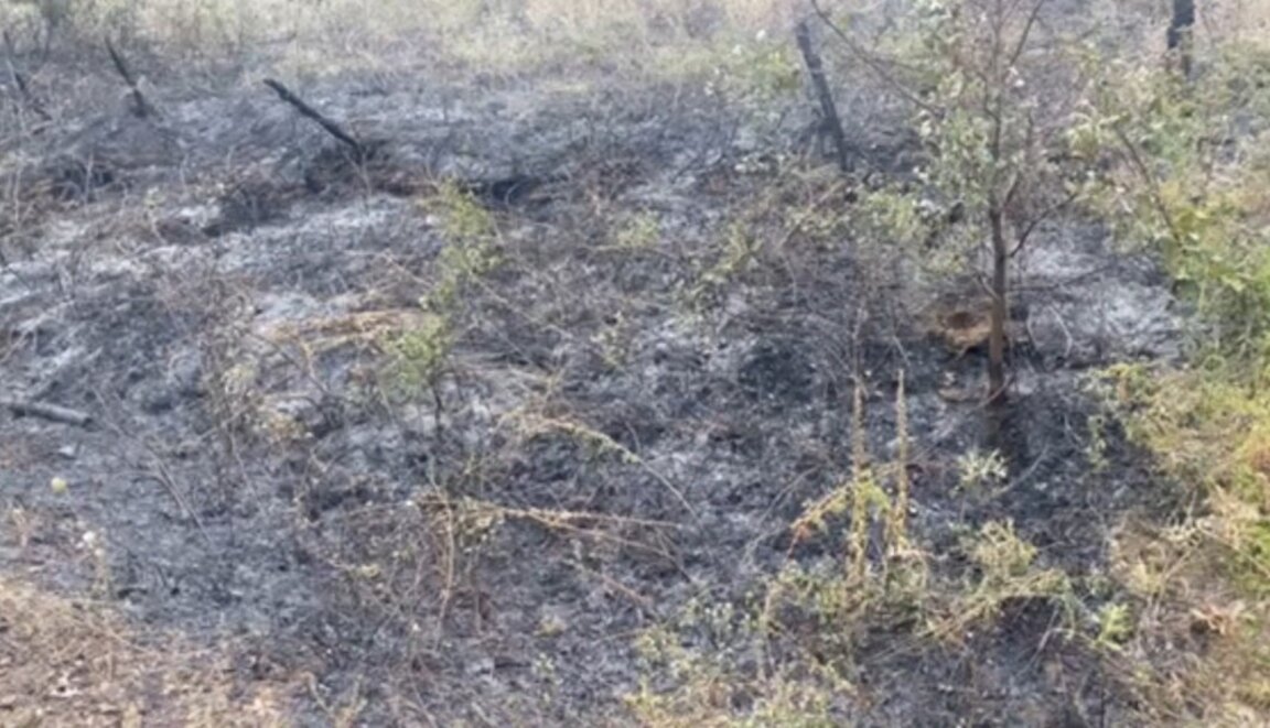 Три дни пожар в бившето строително сметище край Балчик се възобновява