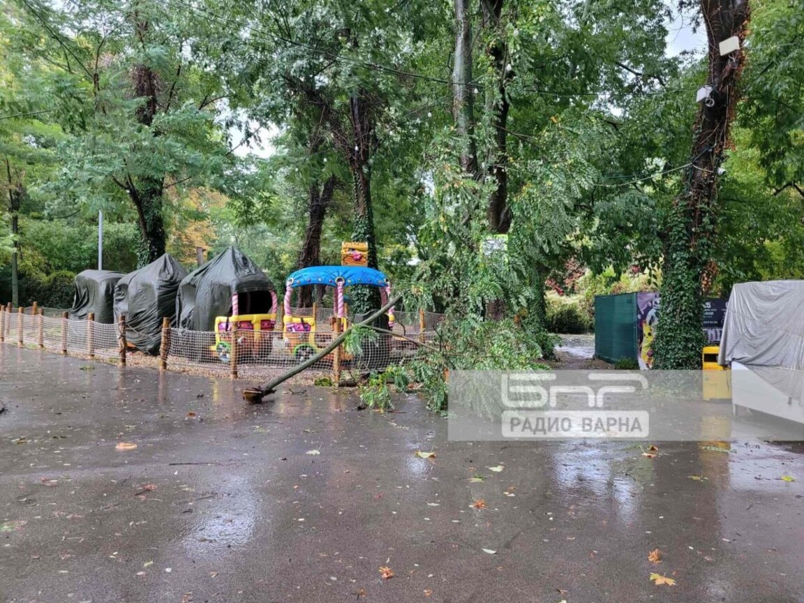 Оранжев код за обилни валежи и силен вятър