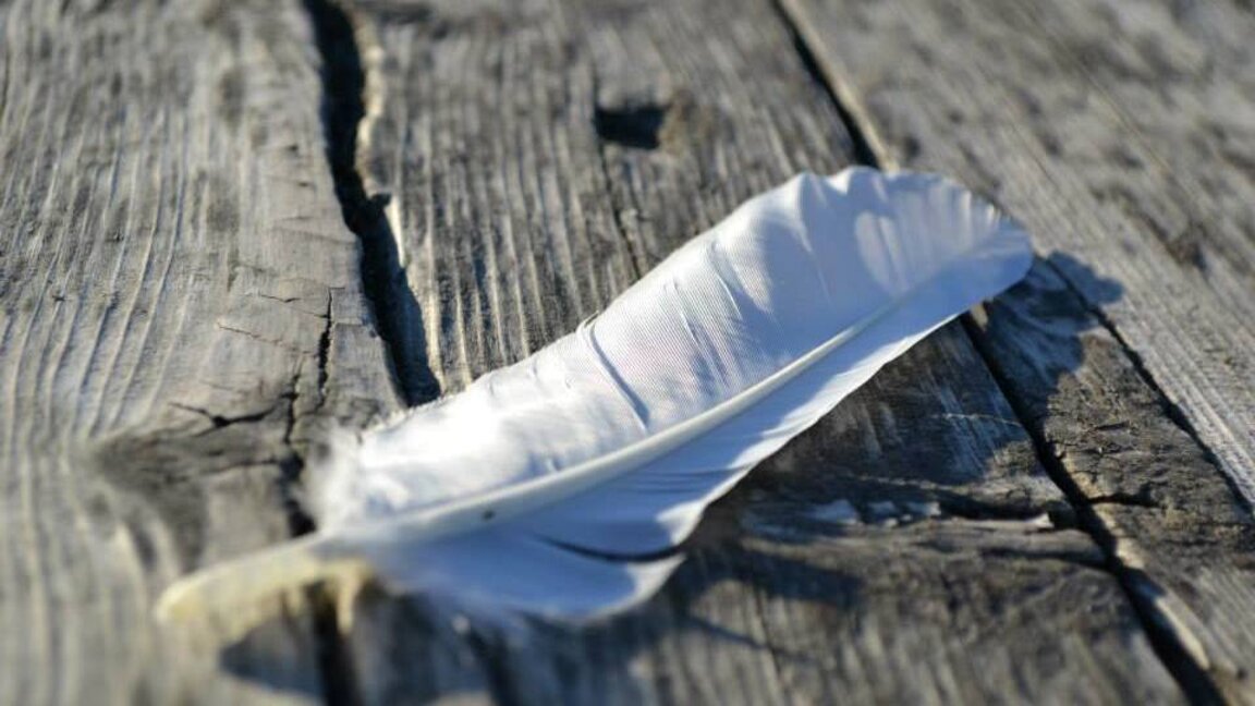 Творци от Мездра ще почетат деня на поезията