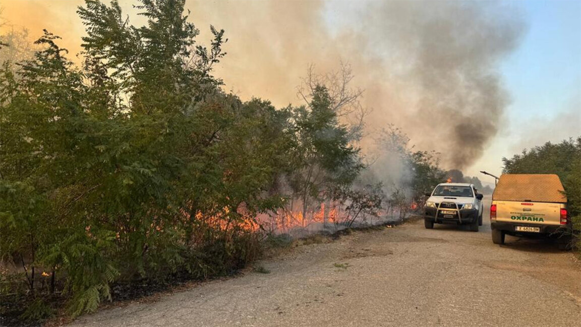 Wildfire in Bulgaria's Sakar mountain is under control, 700 ha of forests and pastures burned
