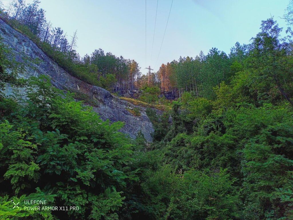 Пожарът в Шуменското плато е овладян