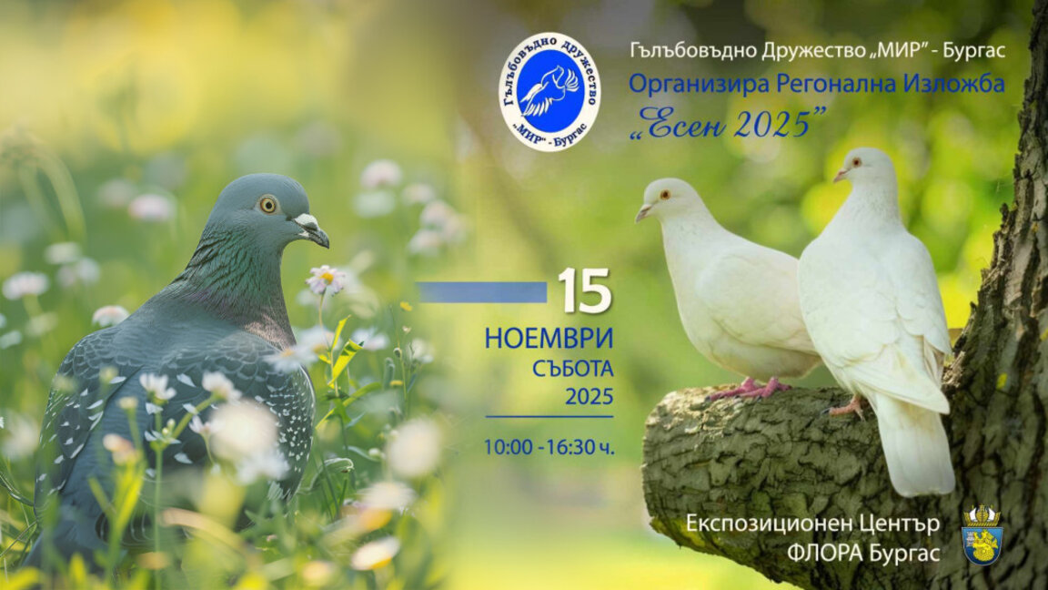 Регионална изложба на гълъби ще събере ценители във "Флора Бургас"