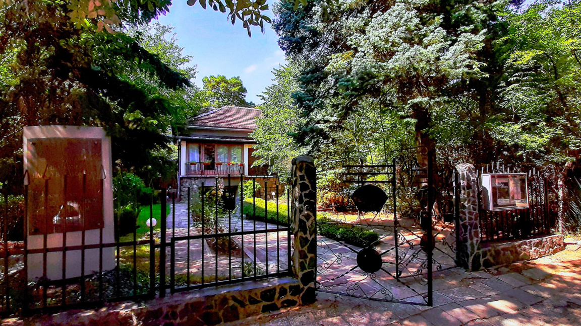 Pancho Vladigerov up close