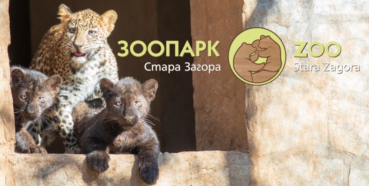 Зоопарк Стара Загора с празнична програма по повод Международния ден на детето