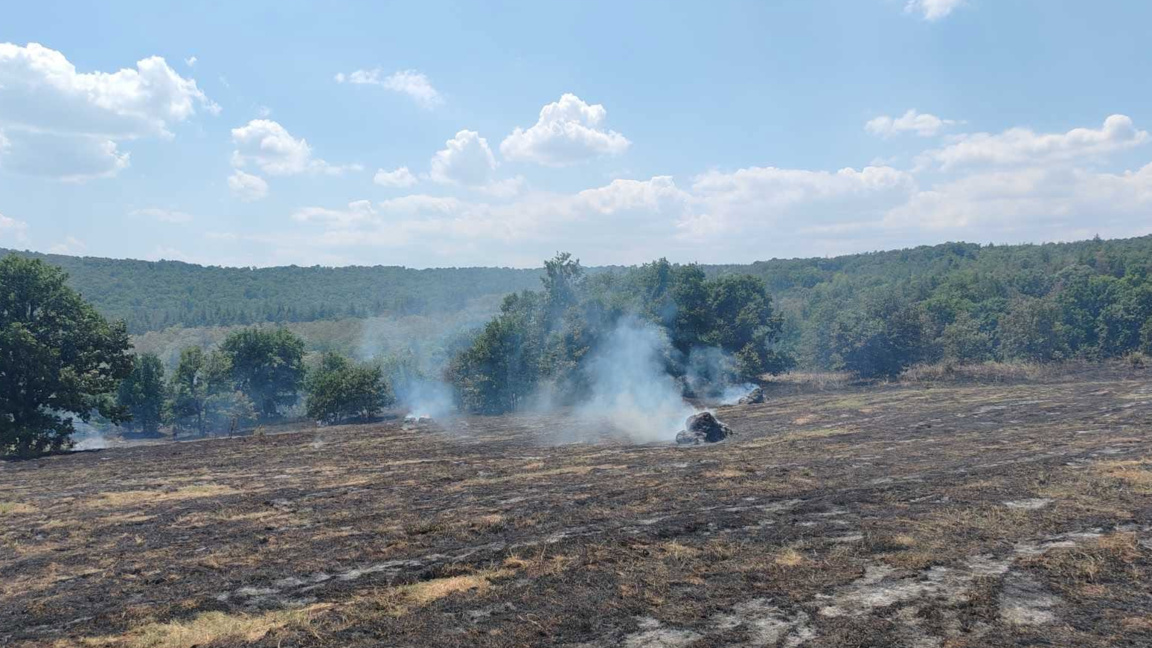 пожар в Хасковска област
