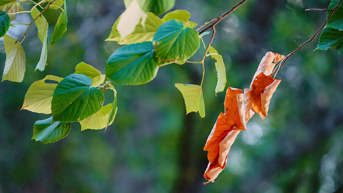 Άστατος καιρός το Σαββατοκύριακο