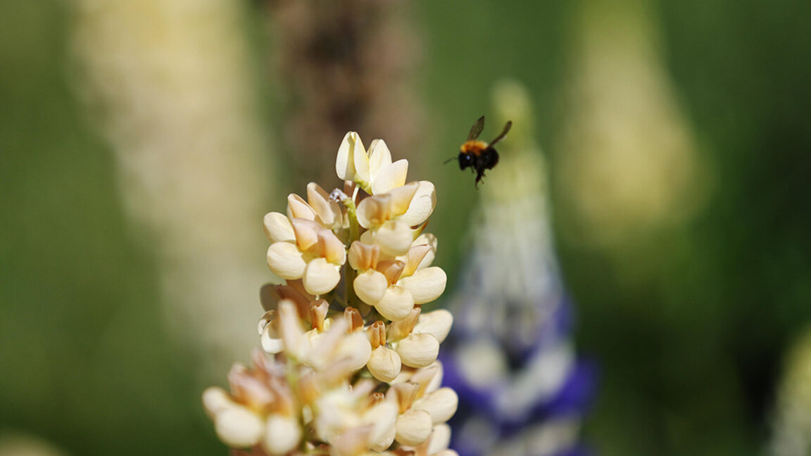 Previsión del tiempo para el 19 de junio