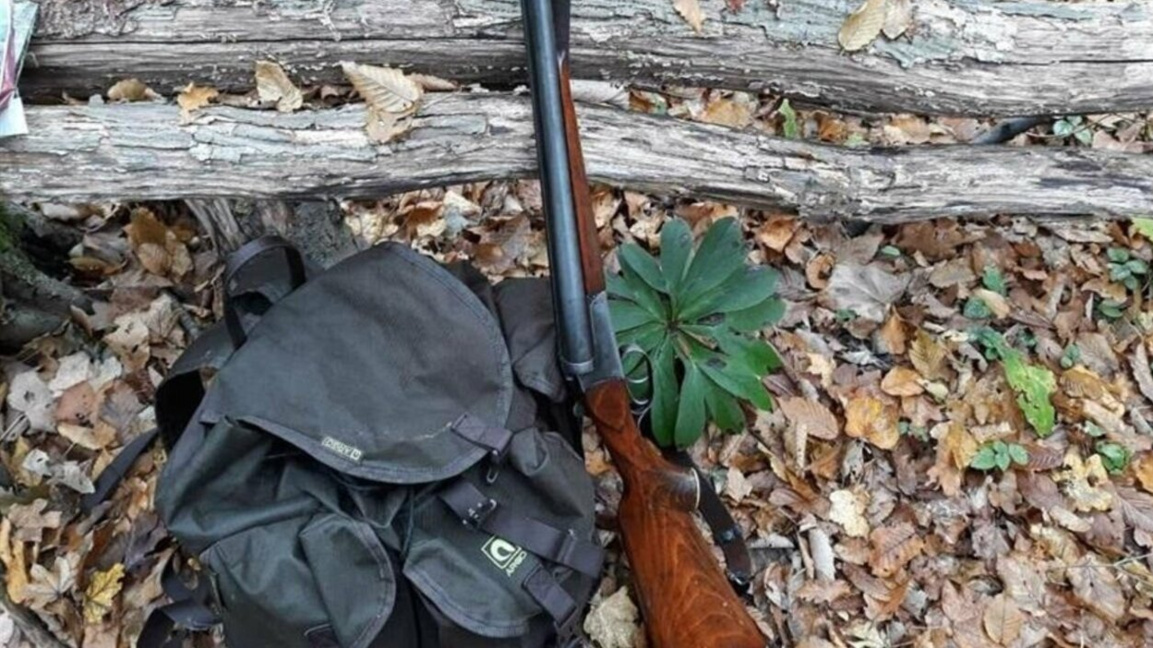 Открива се груповият лов на дива свиня