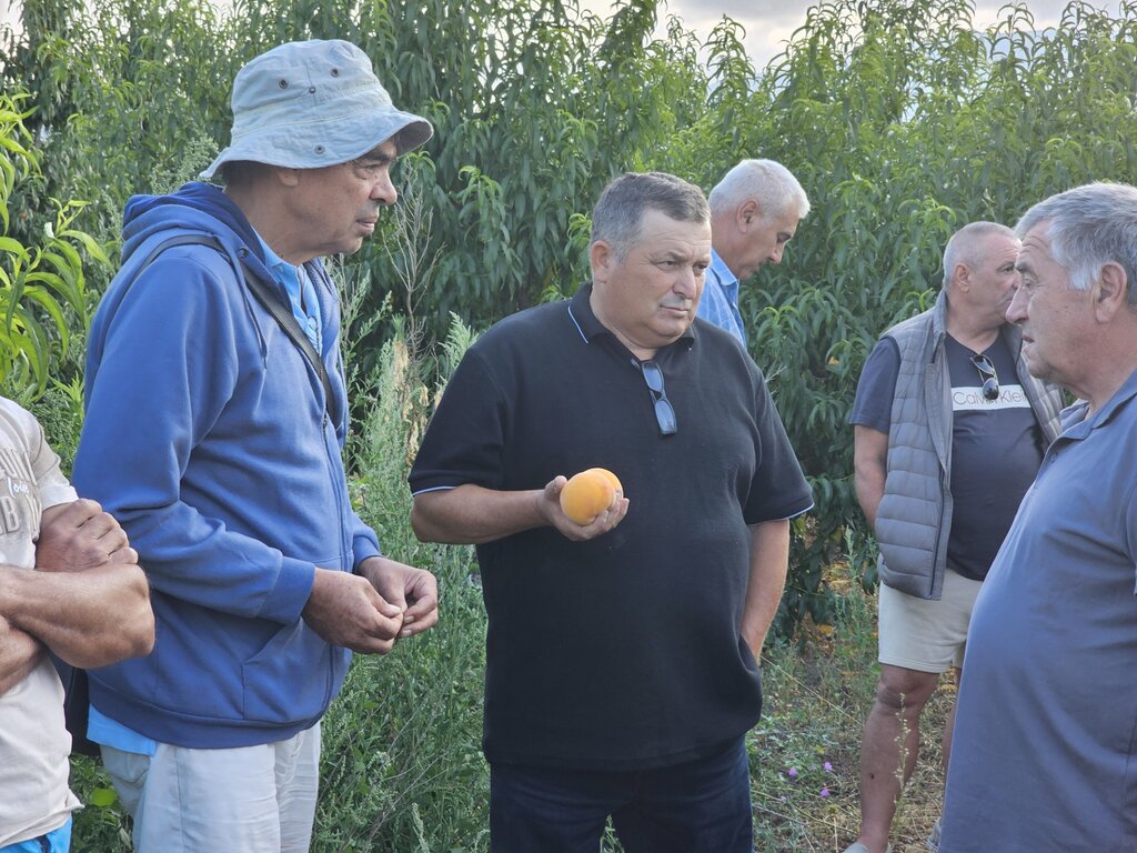 Производители на праскови