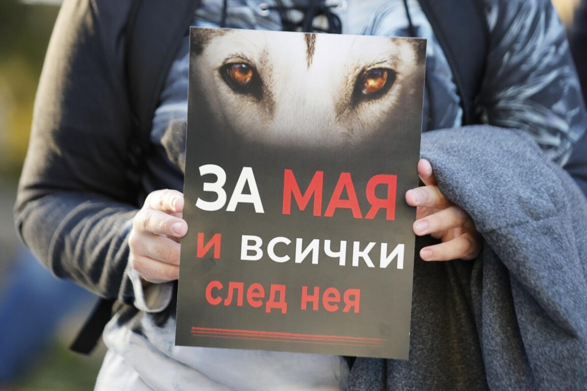 Протести срещу насилието над животни ще има в София и Варна