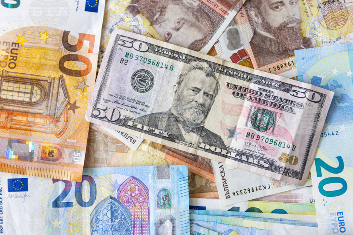 Ce valute au fost cele mai căutate de bulgari în 2024?